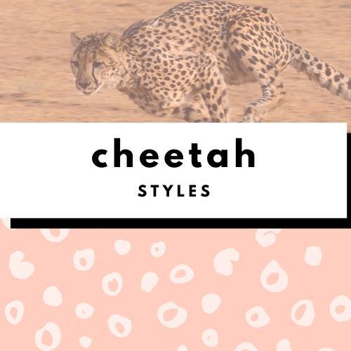 Cheetah Cub Collection